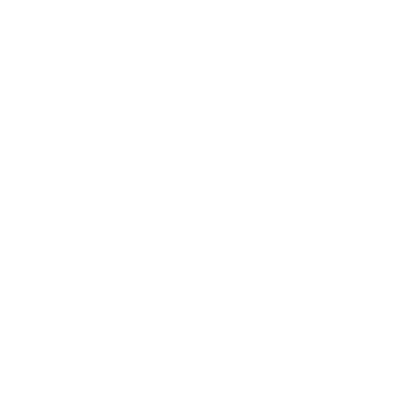 Bergmanns B.V Branding