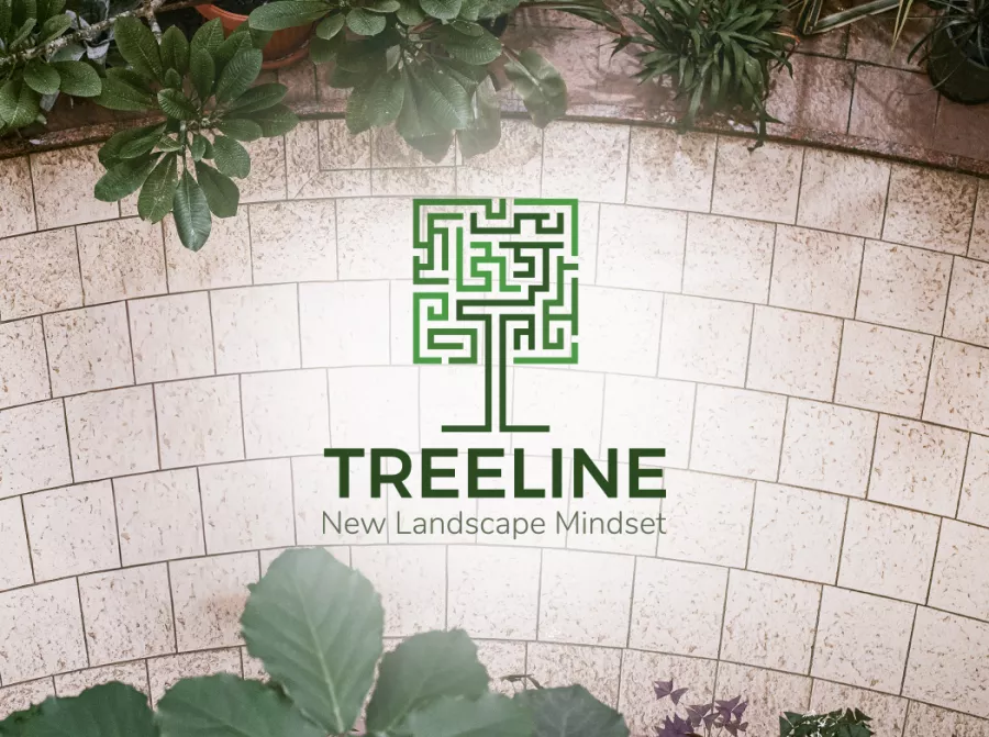 Treeline Landscape complete visual identity & online branding